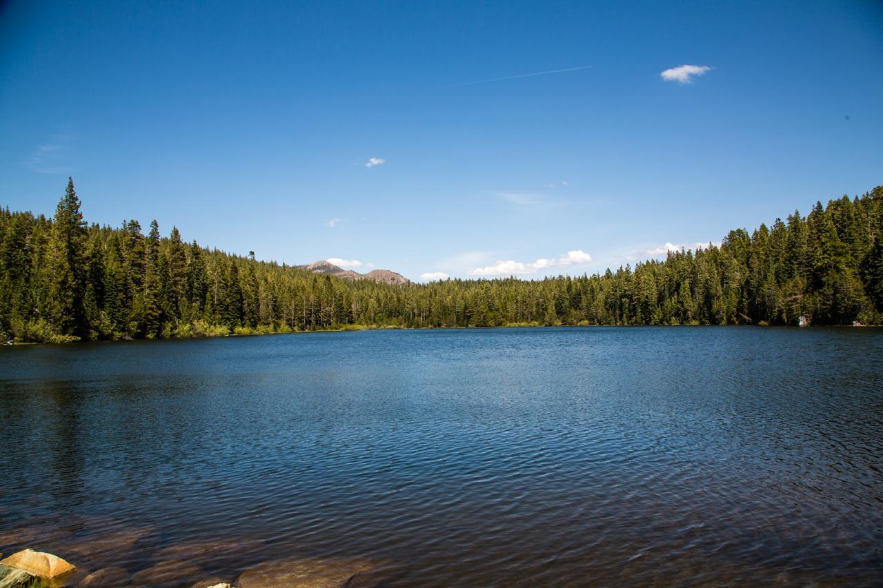 Emigrant Gap Snowflower Camping Resort Cabin 3 מראה חיצוני תמונה